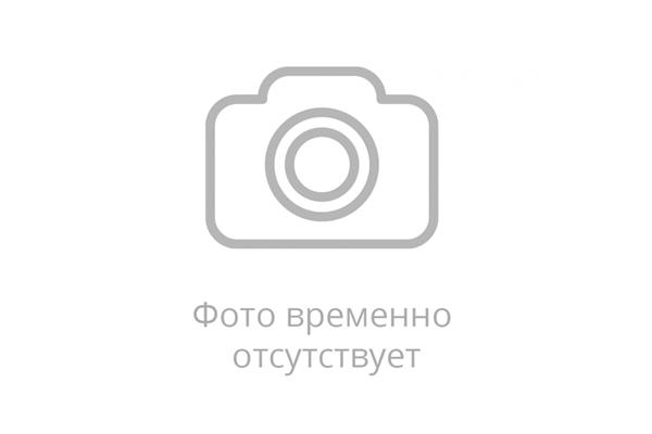 Сорбет манго